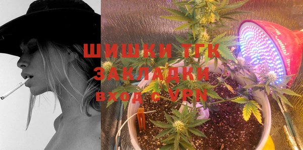 дмт Алзамай
