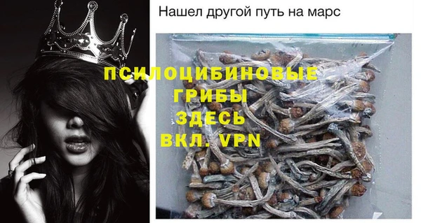 бошки Алексин