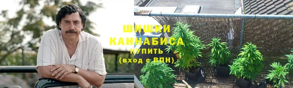дмт Алзамай